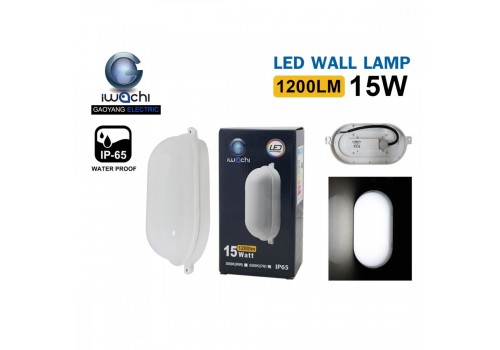 โคมไฟติดผนัง IWC-BH-B-01-15W แสงขาวและวอร์มไวท์